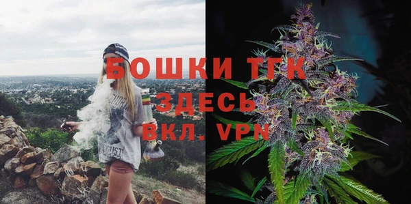spice Алексин